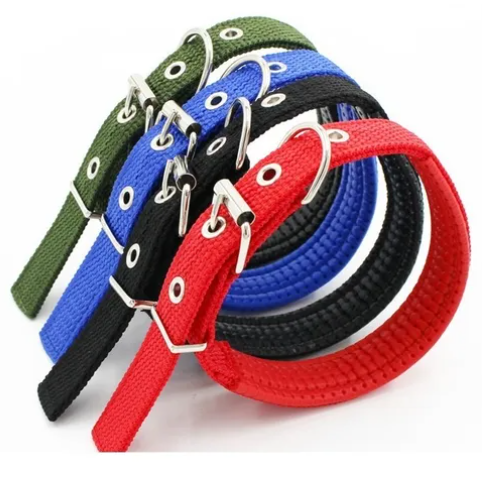 COLLAR PARA PERRO